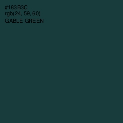 #183B3C - Gable Green Color Image