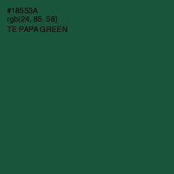 #18553A - Te Papa Green Color Image