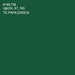 #185738 - Te Papa Green Color Image