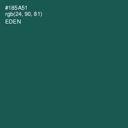 #185A51 - Eden Color Image