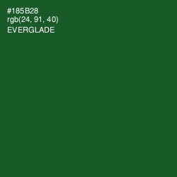 #185B28 - Everglade Color Image