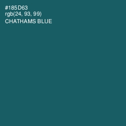 #185D63 - Chathams Blue Color Image