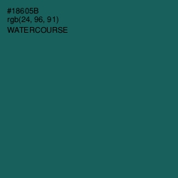 #18605B - Watercourse Color Image