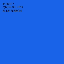 #1863E7 - Blue Ribbon Color Image