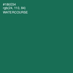 #186E54 - Watercourse Color Image