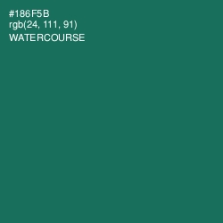 #186F5B - Watercourse Color Image