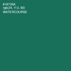 #18705A - Watercourse Color Image