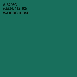 #18705C - Watercourse Color Image