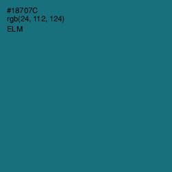 #18707C - Elm Color Image