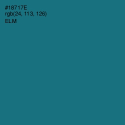 #18717E - Elm Color Image