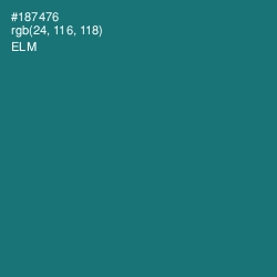 #187476 - Elm Color Image