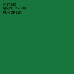 #18753C - Fun Green Color Image
