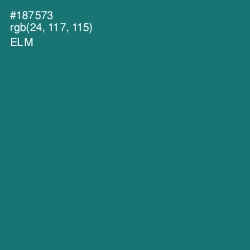 #187573 - Elm Color Image