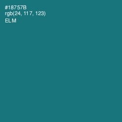 #18757B - Elm Color Image