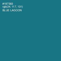 #187583 - Blue Lagoon Color Image