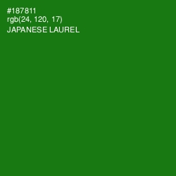 #187811 - Japanese Laurel Color Image