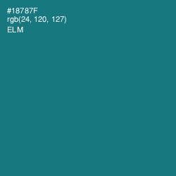 #18787F - Elm Color Image