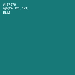 #187979 - Elm Color Image