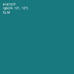 #18797F - Elm Color Image