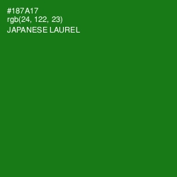 #187A17 - Japanese Laurel Color Image