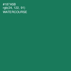 #187A5B - Watercourse Color Image