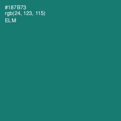 #187B73 - Elm Color Image