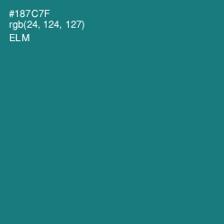 #187C7F - Elm Color Image