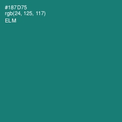 #187D75 - Elm Color Image