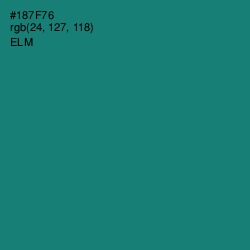 #187F76 - Elm Color Image