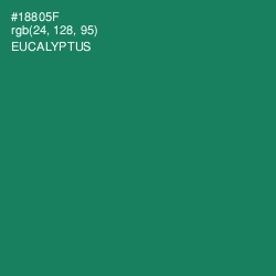 #18805F - Eucalyptus Color Image