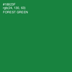 #18823F - Forest Green Color Image