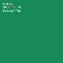 #188959 - Eucalyptus Color Image