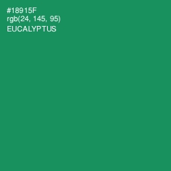 #18915F - Eucalyptus Color Image