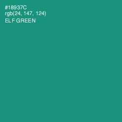 #18937C - Elf Green Color Image