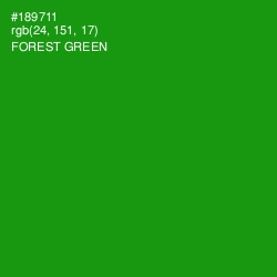 #189711 - Forest Green Color Image