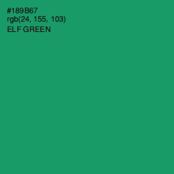 #189B67 - Elf Green Color Image