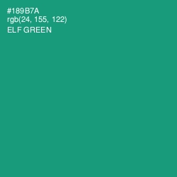 #189B7A - Elf Green Color Image