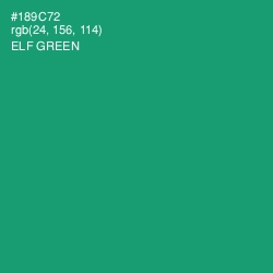 #189C72 - Elf Green Color Image