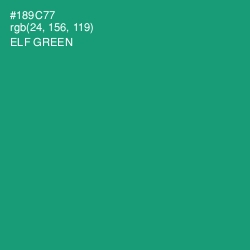 #189C77 - Elf Green Color Image