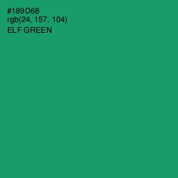 #189D68 - Elf Green Color Image