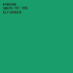 #189D69 - Elf Green Color Image