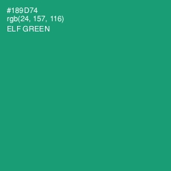 #189D74 - Elf Green Color Image