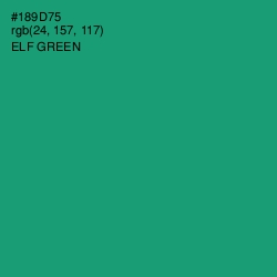 #189D75 - Elf Green Color Image