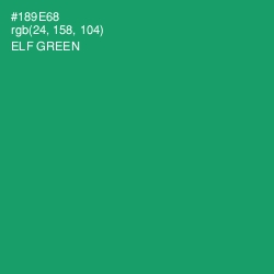 #189E68 - Elf Green Color Image