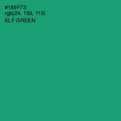 #189F73 - Elf Green Color Image