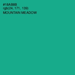 #18AB8B - Mountain Meadow Color Image