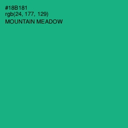 #18B181 - Mountain Meadow Color Image