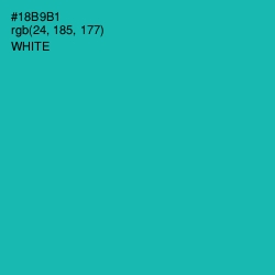 #18B9B1 - Eastern Blue Color Image