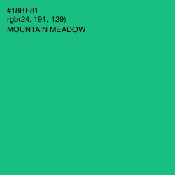 #18BF81 - Mountain Meadow Color Image