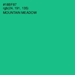 #18BF87 - Mountain Meadow Color Image